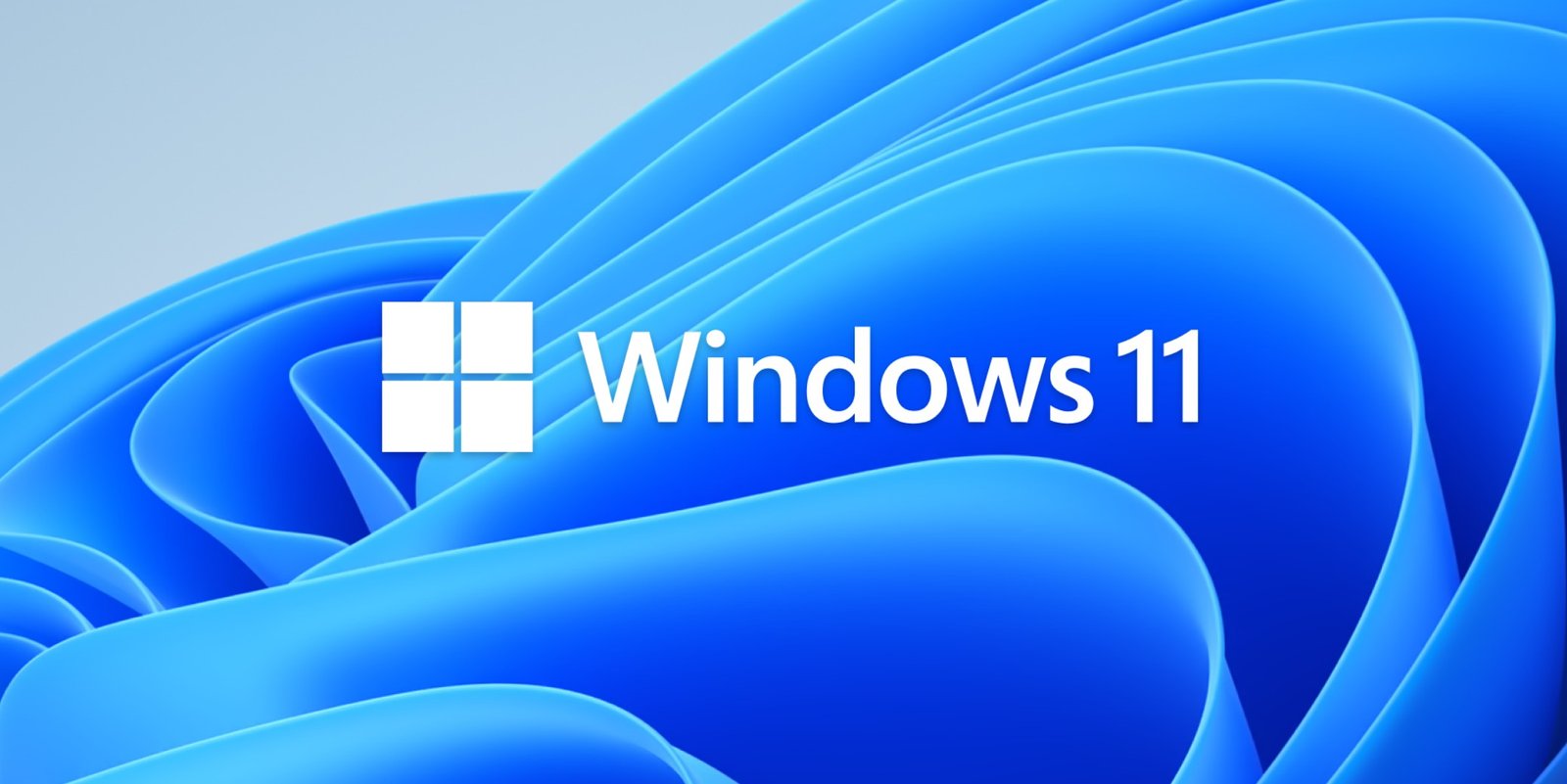 Así es la etiqueta que traerán los ordenadores con Windows 11
