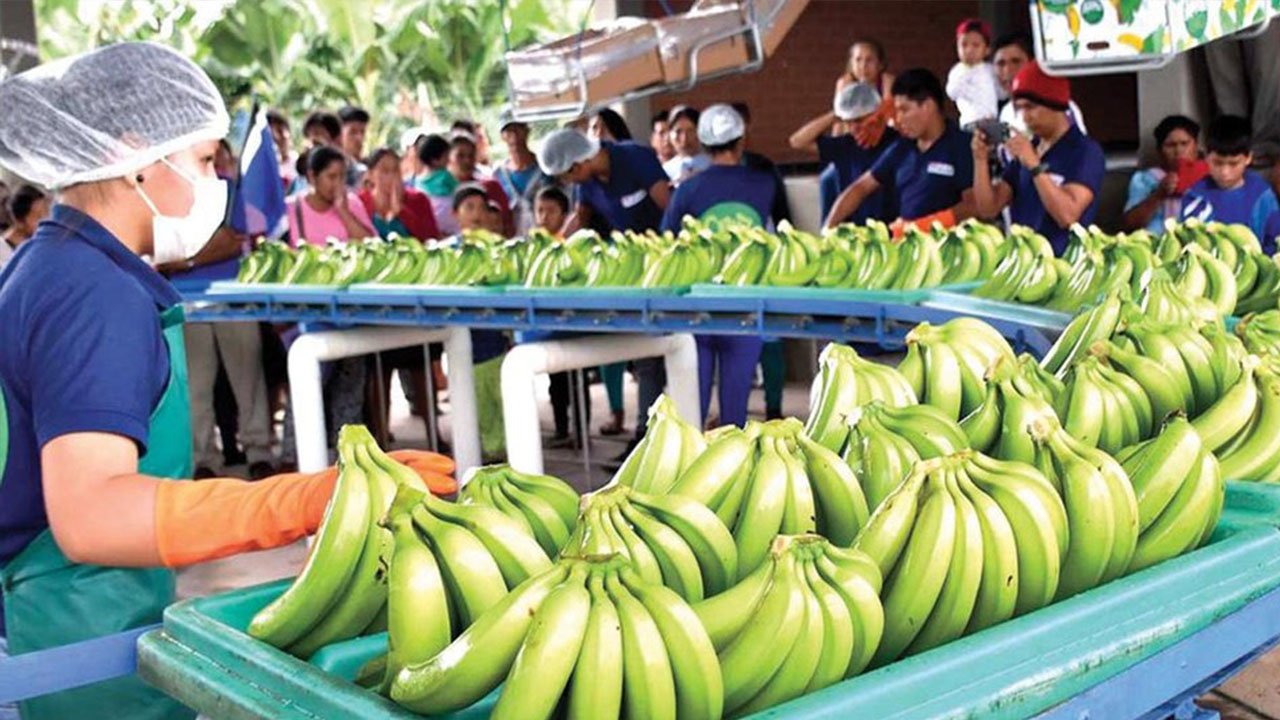 productores de frutas y verduras retienen mercados internacionales