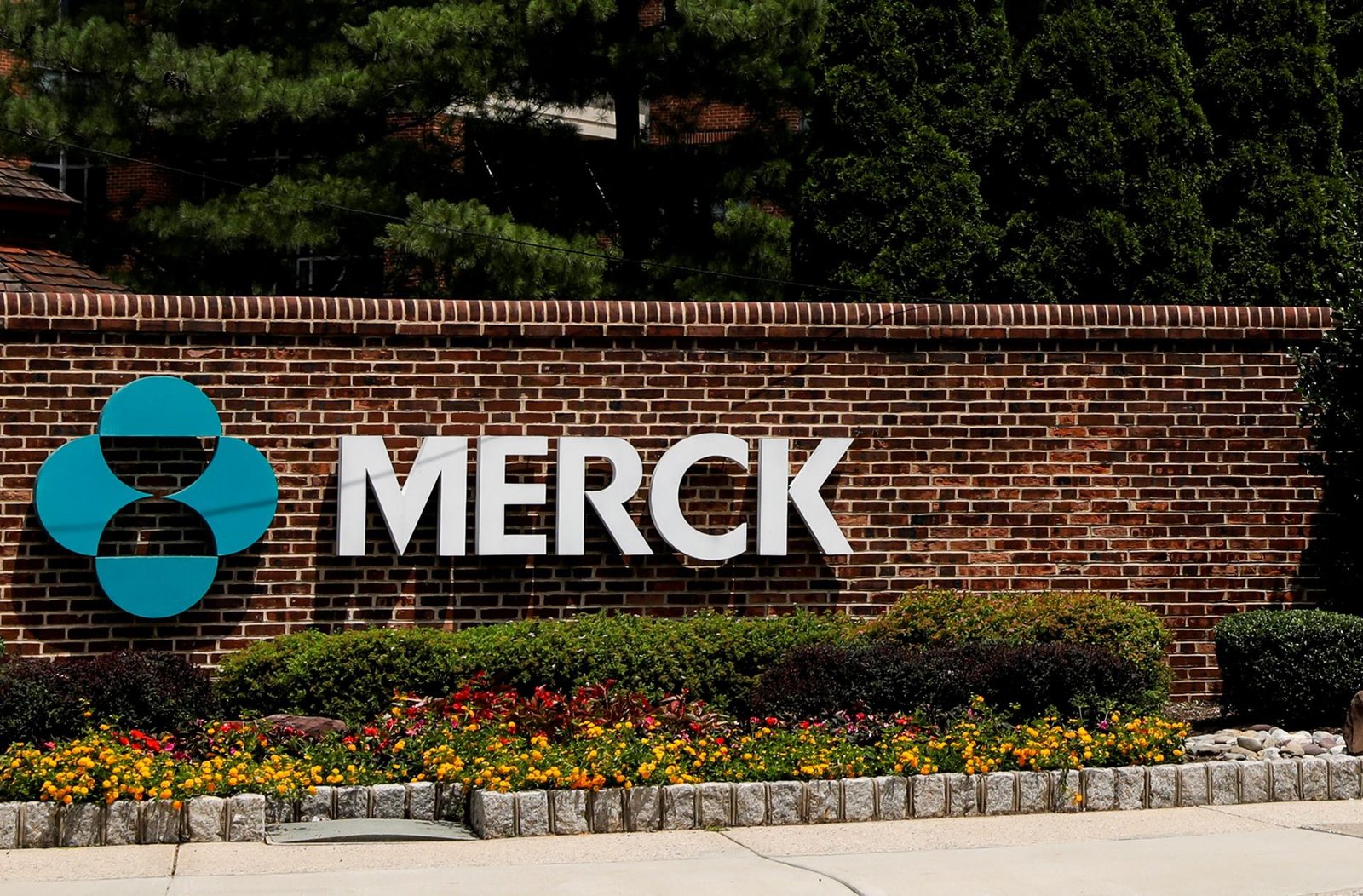Farmacéutica Merck anuncia que su pastilla contra covid-19