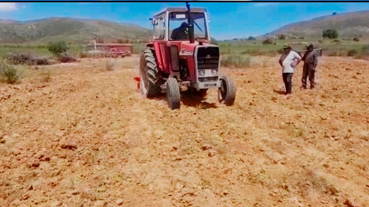 EMAPA y Centro de Mecanización Agrícola realizan pruebas de campo de arados en Tarata